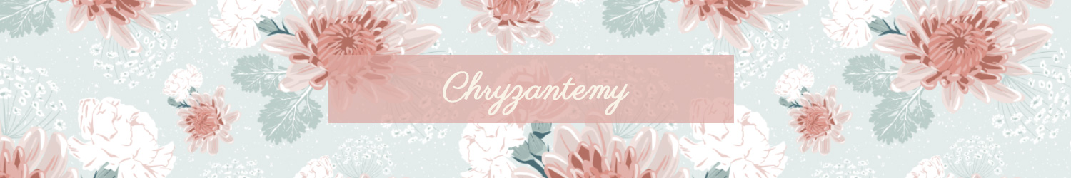 kolekcja chryzantemy